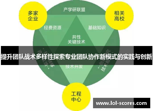 提升团队战术多样性探索专业团队协作新模式的实践与创新