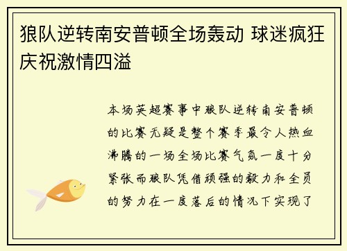 狼队逆转南安普顿全场轰动 球迷疯狂庆祝激情四溢