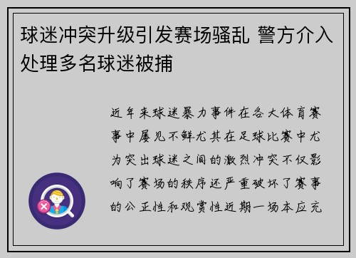 球迷冲突升级引发赛场骚乱 警方介入处理多名球迷被捕