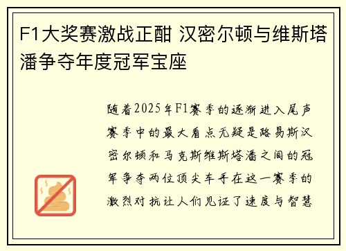 F1大奖赛激战正酣 汉密尔顿与维斯塔潘争夺年度冠军宝座